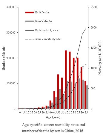 70081647818019252
